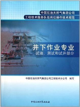 中國石油天然氣集團(tuán)公司工程技術(shù)服務(wù)隊(duì)伍崗位操作技術(shù)規(guī)劃 構(gòu)建卓越服務(wù)體系，保障能源安全