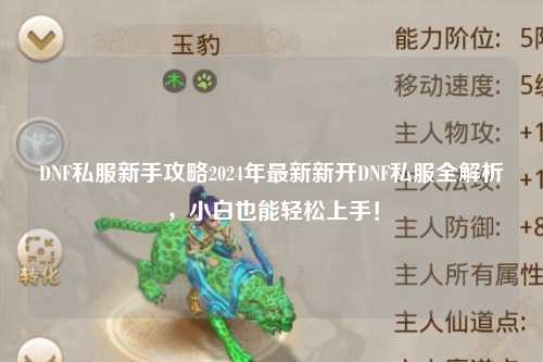DNF私服新手攻略2024年最新新開DNF私服全解析,小白也能輕松上手!